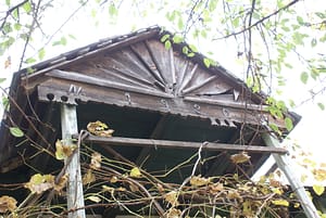SONY DSC